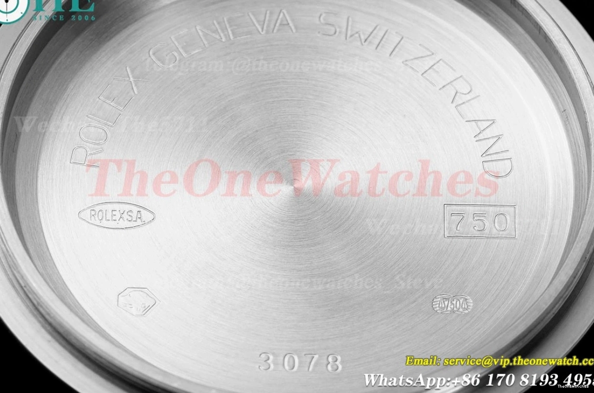 SH4131(Gain SS QF Weight) Dia 40mm 126509 Daytona Black SS 0207